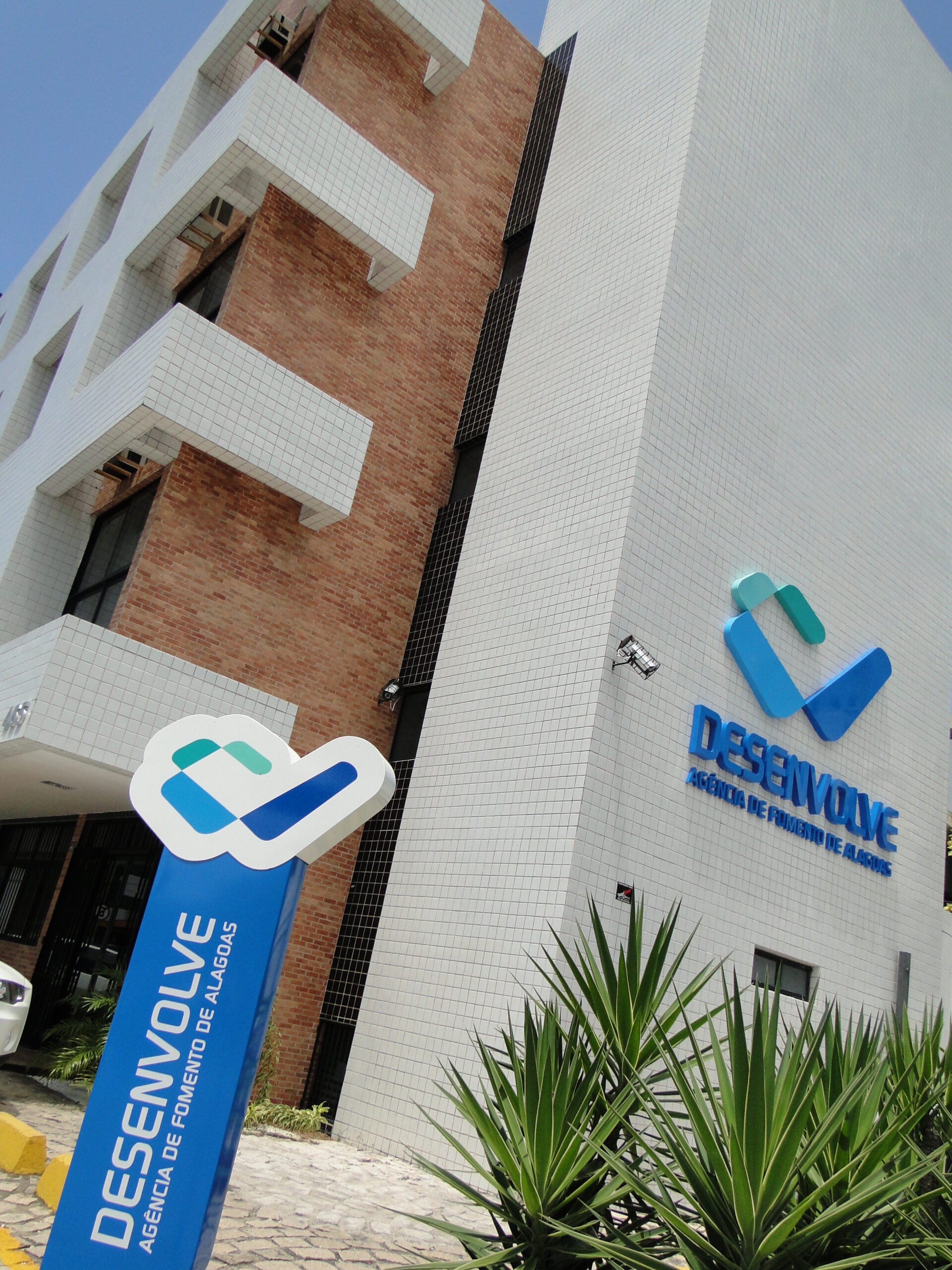 Balanço patrimonial da Desenvolve aponta crescimento de 58% em 2013