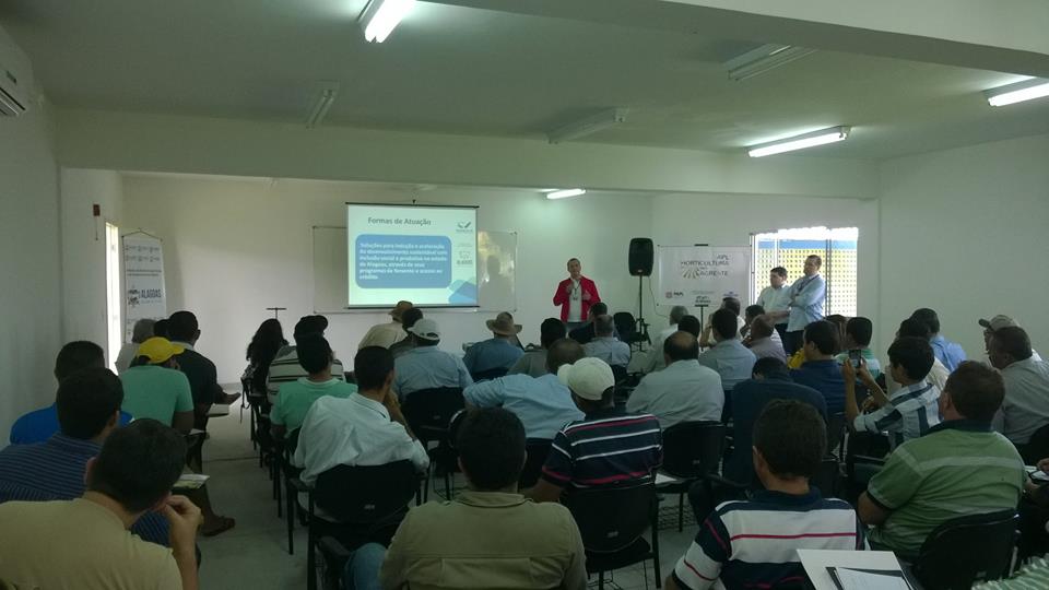 Desenvolve apresenta soluções para produção de hortaliças no Agreste