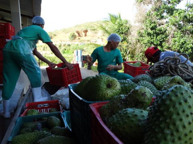 Novo Programa da Desenvolve beneficia associações e cooperativas