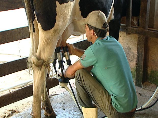 Associação leiteira prevê ampliação da produção com fomento estadual