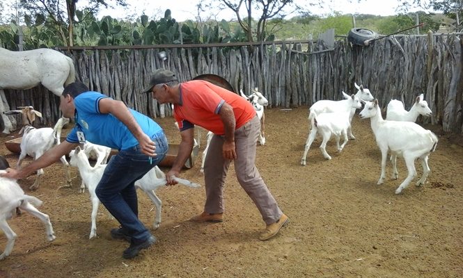 Liberação recorde promoverá melhoria na qualidade de vida de 5 mil sertanejos