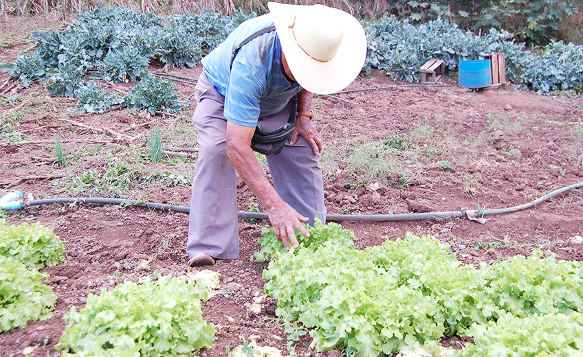 Produtores rurais e empreendedores de Junqueiro recebem orientações sobre fortalecimento econômico