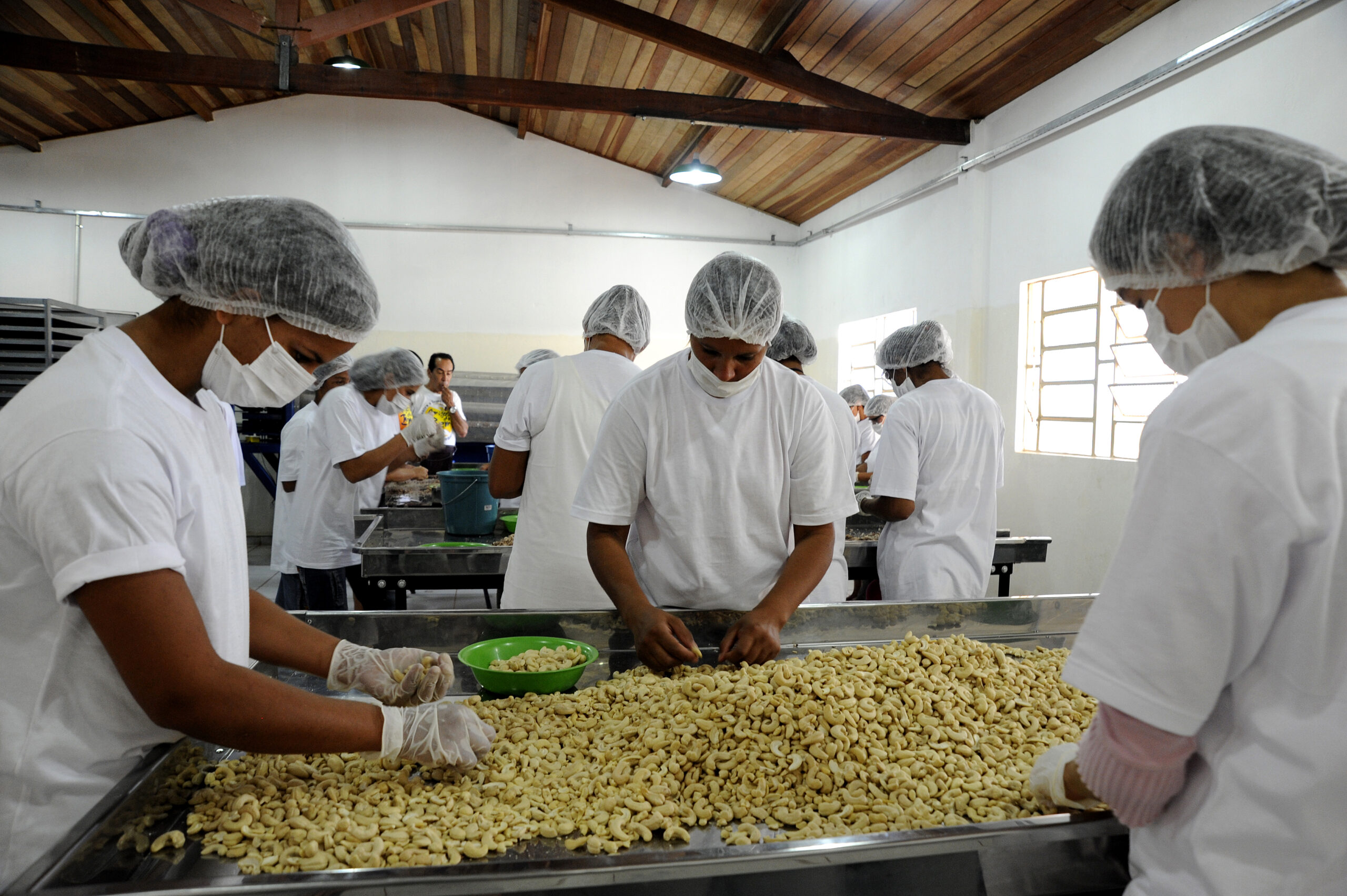 Fábrica de Castanhas será inaugurada em Estrela de Alagoas através de incentivo estadual