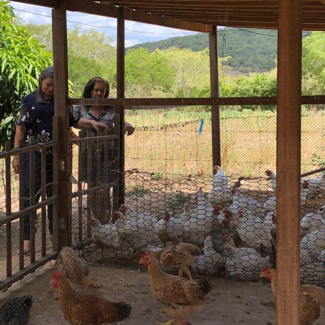 Pequenos empreendedores de Batalha, Jacaré dos Homens e Olho D’Água das Flores fortalecem suas produções com recursos da Desenvolve