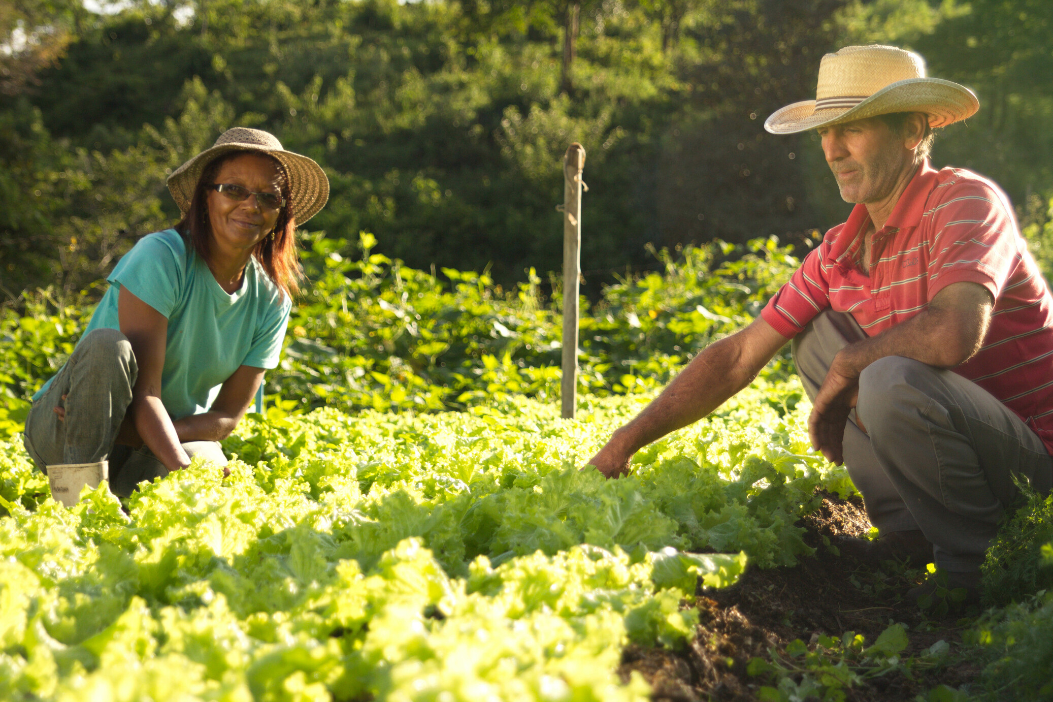 Desenvolve deve alcançar R$ 16 mi em liberações em 2016